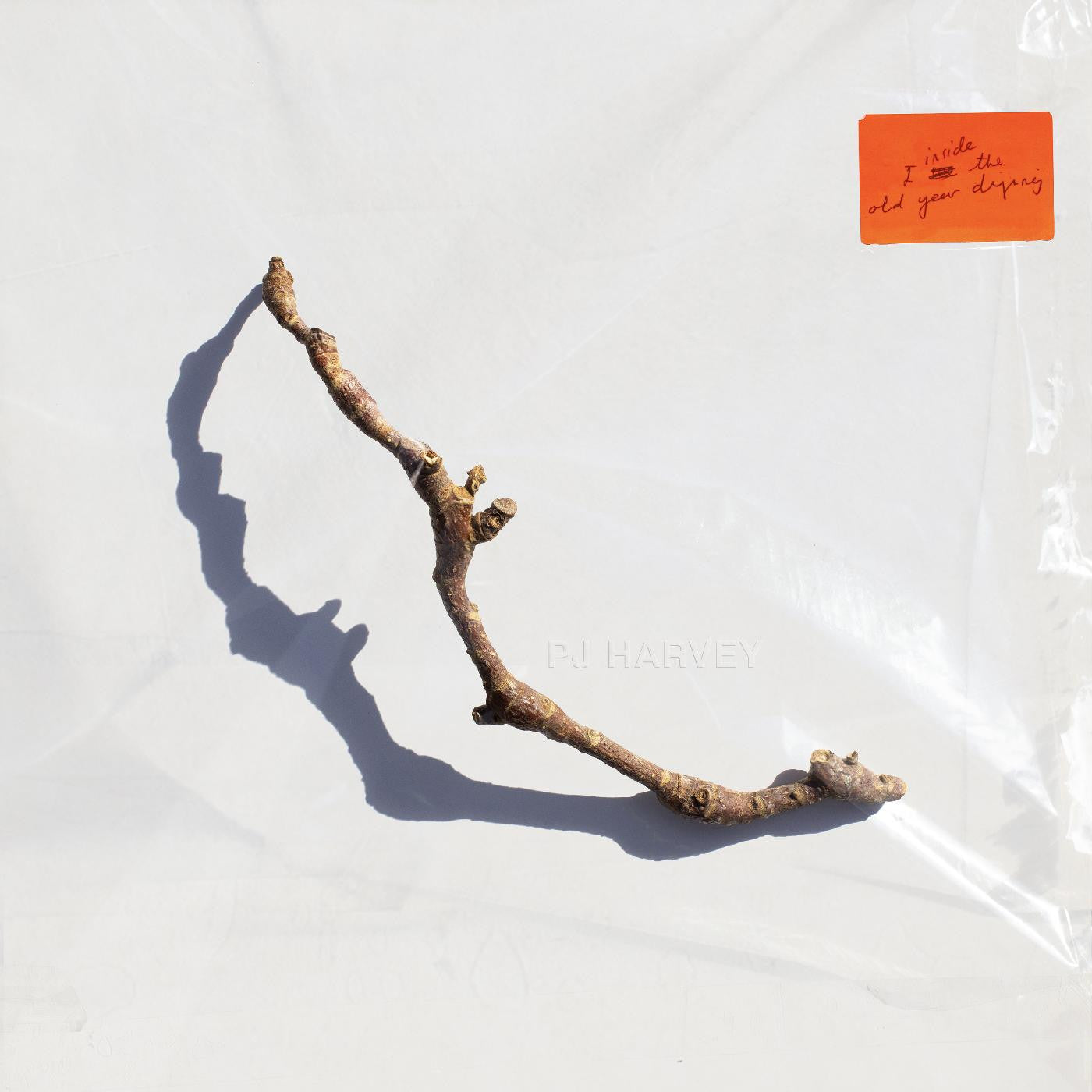 PJ Harvey - I Inside the Old Year Dying (Vinyl LP)