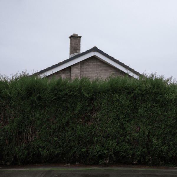 1975 - Still... At Their Very Best Live (White Vinyl 3LP)