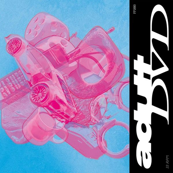 Adult DVD - Adult DVD (Vinyl LP)