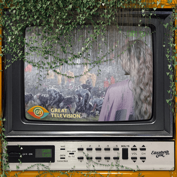 Elizabeth Cook - Great Television (Vinyl LP)