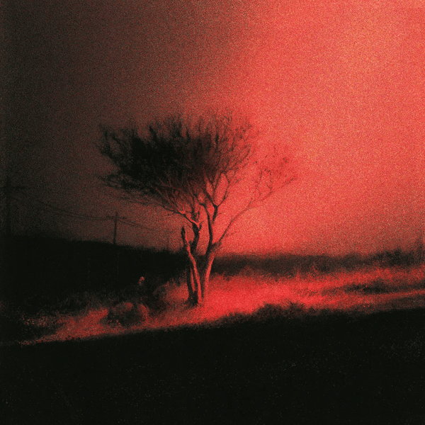 Joji - Piss in the Wind (Vinyl LP)