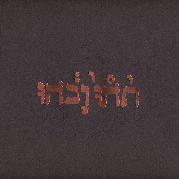 Godspeed You! Black Emperor -  Slow Riot For New Zero Kanada (Vinyl EP)
