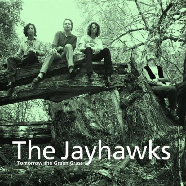 Jayhawks - Tomorrow the Green Grass (Vinyl LP)