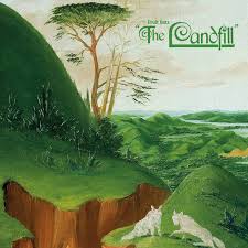 Fruit Bats - The Landfill (Vinyl LP)