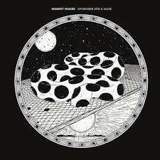 Modest Mouse - An Eraser and a Maze (Vinyl 2LP)