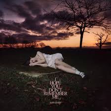 Baby Queen -  I Hope You Don't Remember Me (Vinyl LP)