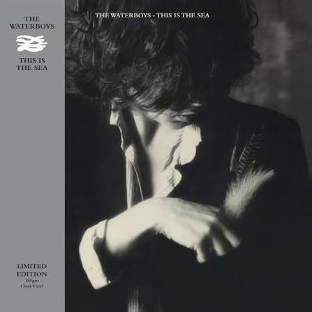 Waterboys - This is the Sea (Clear Vinyl LP)