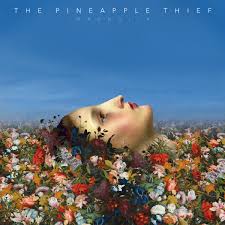 Pineapple Thief - Magnolia (Vinyl 2LP)