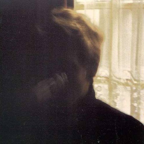 Palace Brothers - Days in the Wake (Vinyl LP)