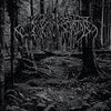 Wolves In the Throne Room - 2025 Demo (Black Ice Vinyl LP)