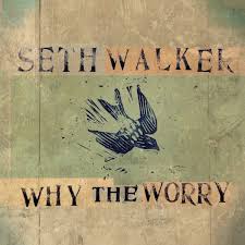 Seth Walker - Why the Worry (Vinyl LP)