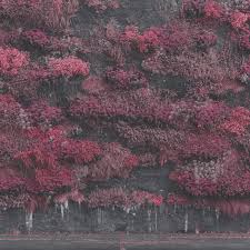 Sleep Token - Even In Arcadia (Vinyl 2LP)