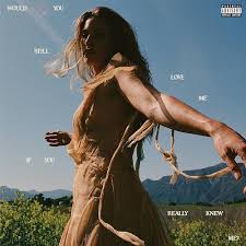 Fletcher - Would You Still Love Me If You Really Knew Me? (Vinyl LP)