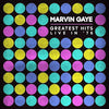 Marvin Gaye - Greatest Hits Live in &#39;76 (Vinyl LP)