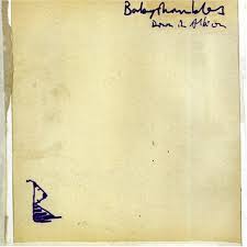 Babyshambles - Down in Albion (Vinyl 2LP)