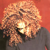 Janet Jackson - The Velvet Rope (Vinyl LP)