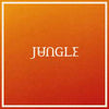 Jungle - Volcano (Vinyl LP)