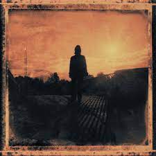 Steven Wilson - Grace For Drowning (Vinyl 2LP)