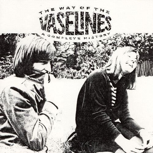 Vaselines - The Way of the Vaselines: A Complete History (Vinyl 2LP)