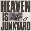 Youth Lagoon - Heaven is a Junkyard (Vinyl LP)
