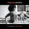 Norah Jones - Pick Me Up Off The Floor (Vinyl LP)