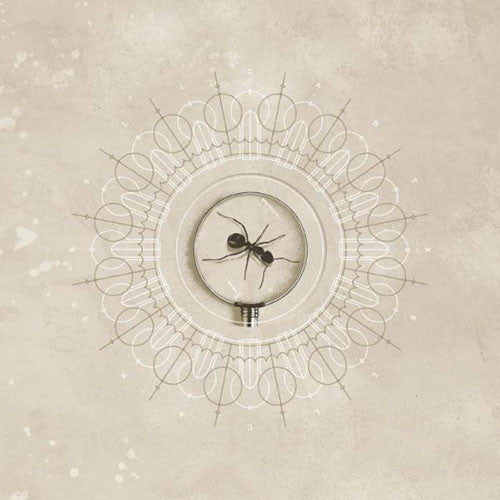 Jerry Cantrell - Brighten (Vinyl 12” Single)