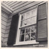 Beach Fossils - What a Pleasure (Vinyl LP Record)