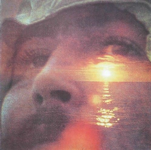 David Crosby - If I Could Only Remember My Name.... 50th Anniversary Edition (Vinyl LP)