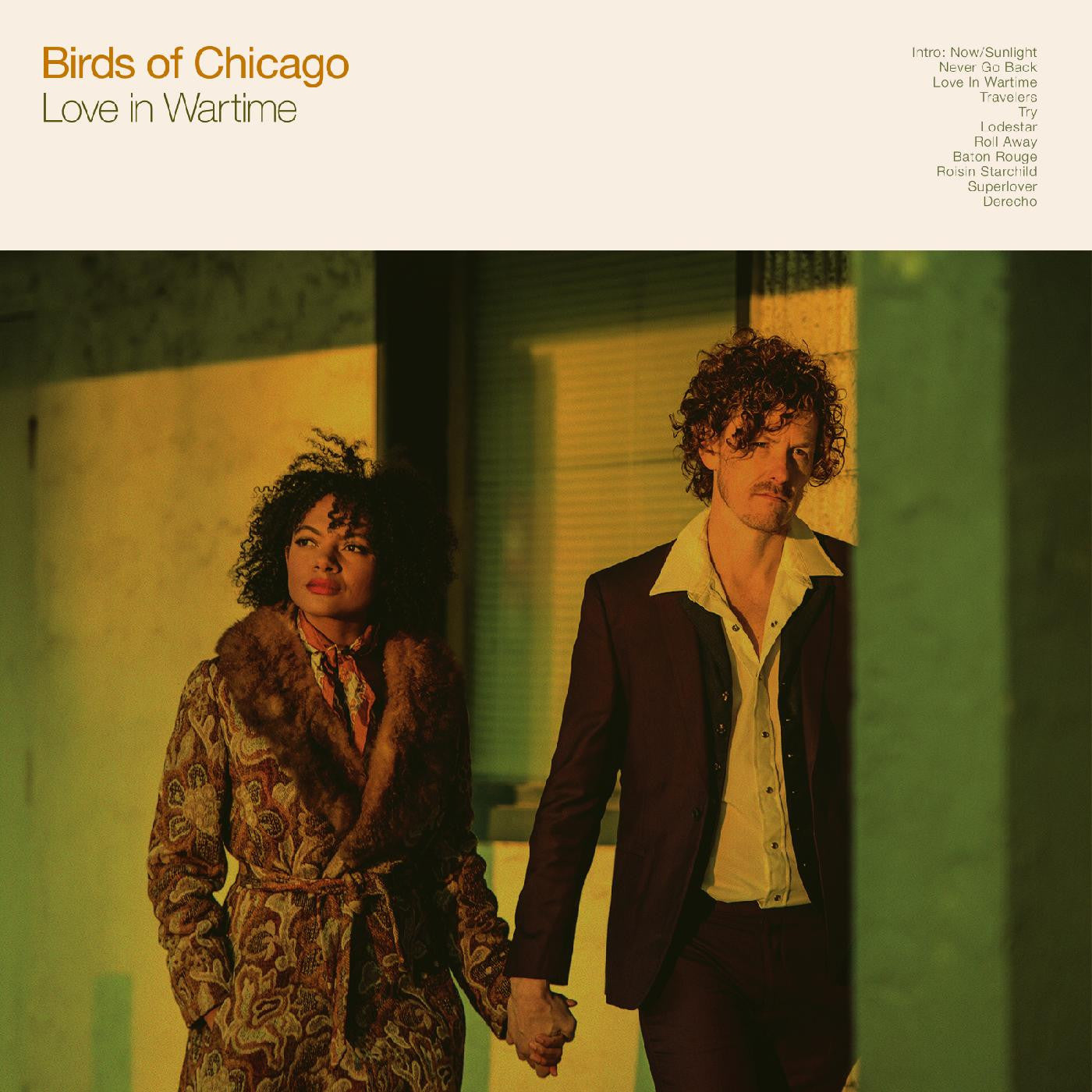 Birds of Chicago - Love in Wartime (Vinyl LP)
