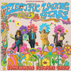 Electric Looking Glass - Somewhere Flowers Grow (Vinyl LP)