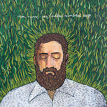 Iron & Wine - Our Endless Numbered Days (Vinyl LP)