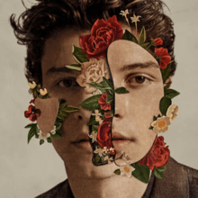 Shawn Mendes - Shawn Mendes (Vinyl LP)