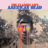 Flaming Lips - American Head (Vinyl 2LP)