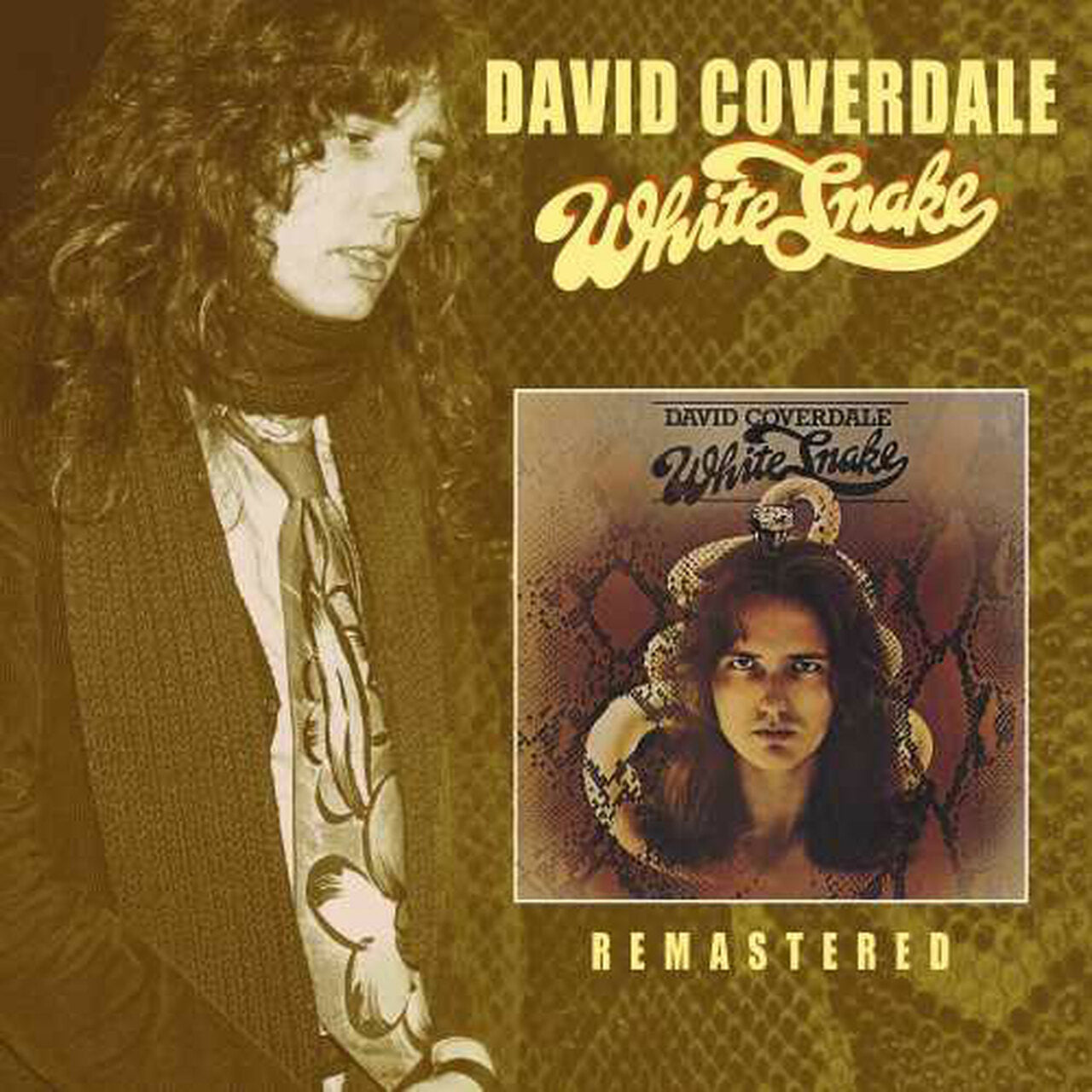 David Coverdale - White Snake (Vinyl LP)