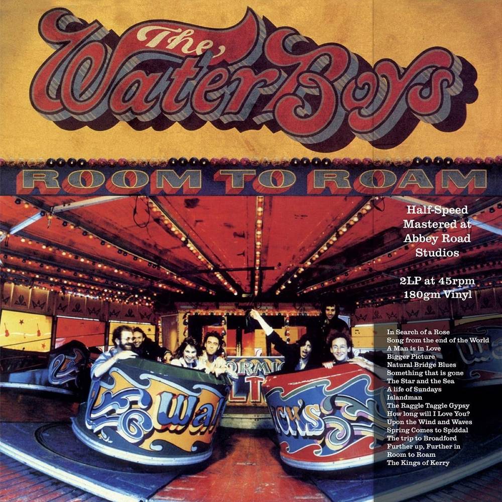 Waterboys - Room to Roam (Vinyl 2LP)