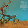 Molly Tuttle &amp; Golden Highway - Crooked Tree (Vinyl LP)