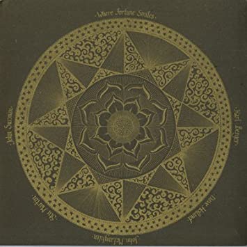 John McLaughlin - Where Fortune Smiles (Vinyl LP)