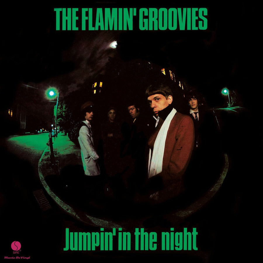 Flamin' Groovies - Jumpin' in the Night (Vinyl LP)