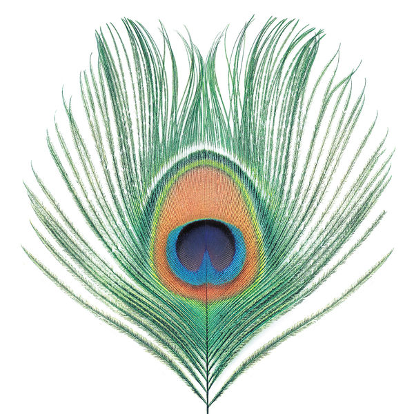 XTC - Apple Venus Vol. 1 (Vinyl LP)