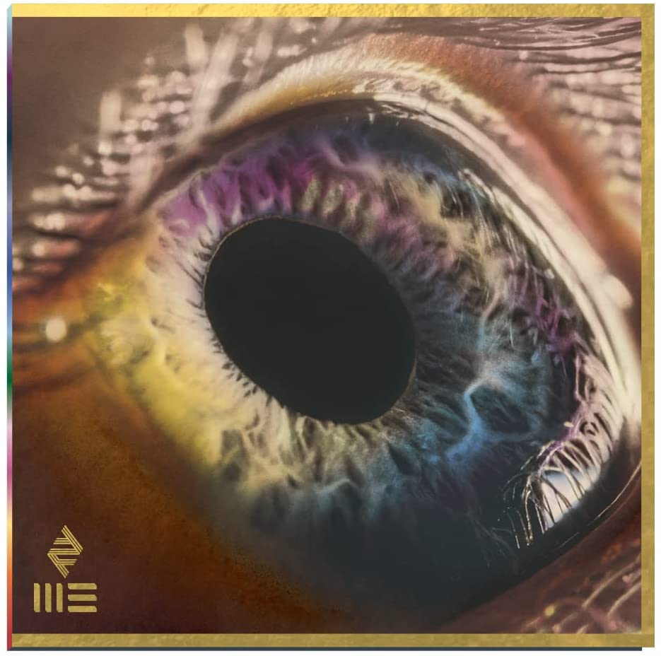 Arcade Fire - WE (Vinyl LP)