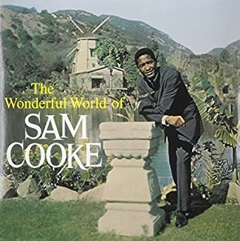 Sam Cooke - The Wonderful World of Sam Cooke (Vinyl LP)
