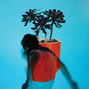 Local Natives - Sunlit Youth (Vinyl LP)