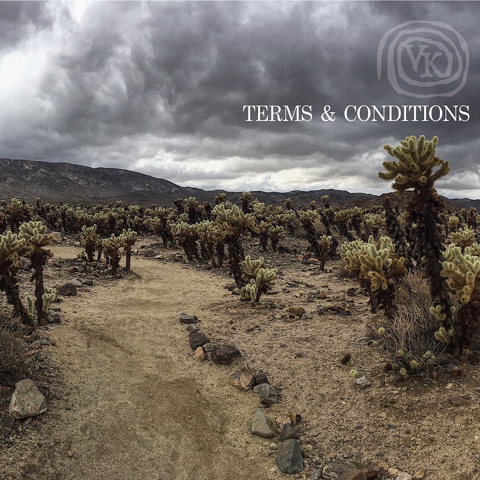 VK - Terms And Conditions (Vinyl Lp Record)
