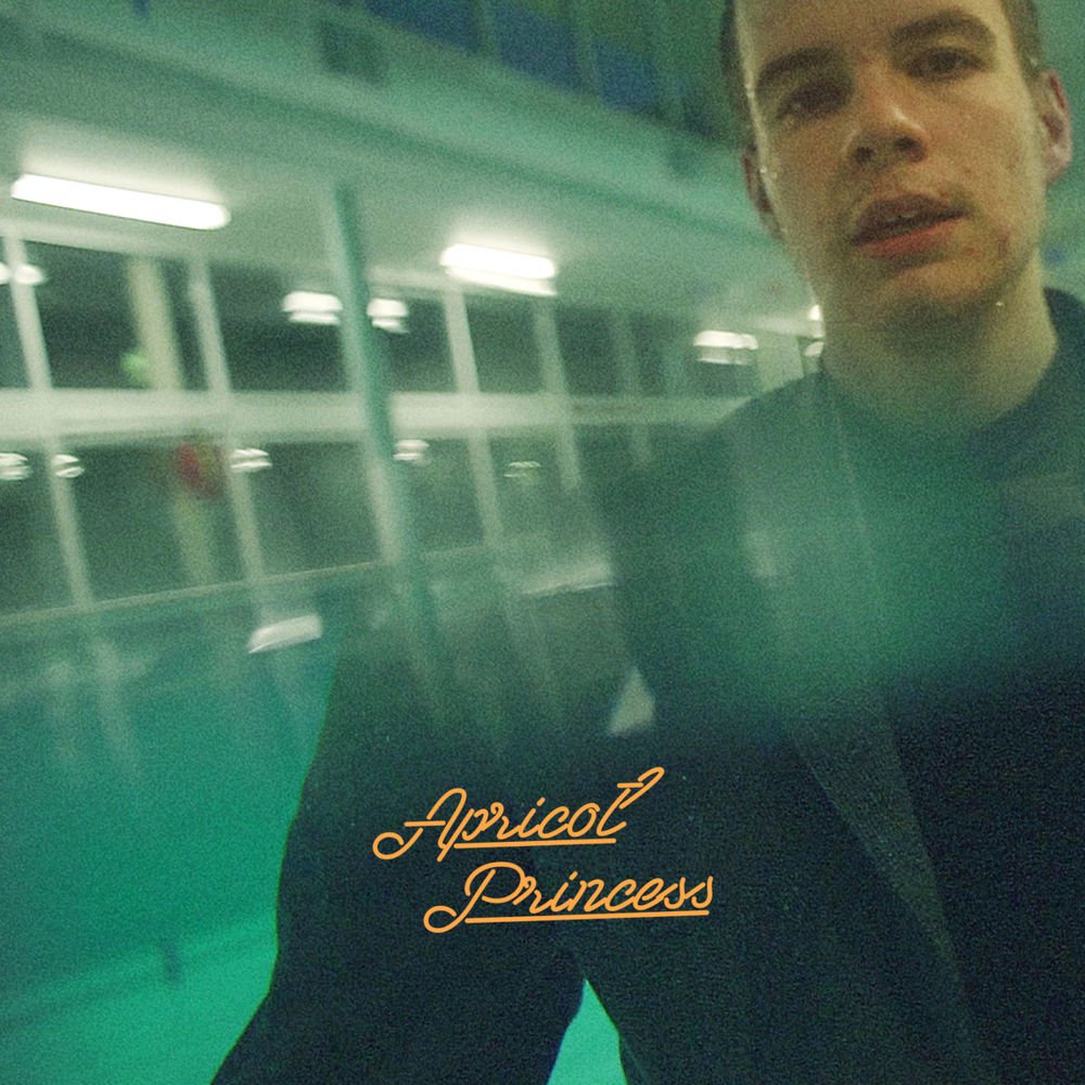 Rex Orange County - Apricot Princess (Vinyl LP Record)