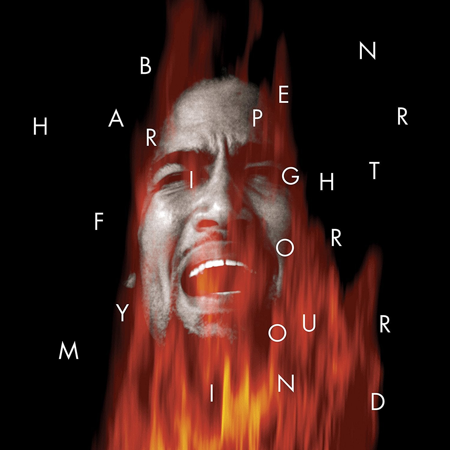 Ben Harper - Fight For Your Mind (Vinyl 2LP)