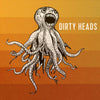 Dirty Heads - Dirty Heads (Vinyl LP Record)