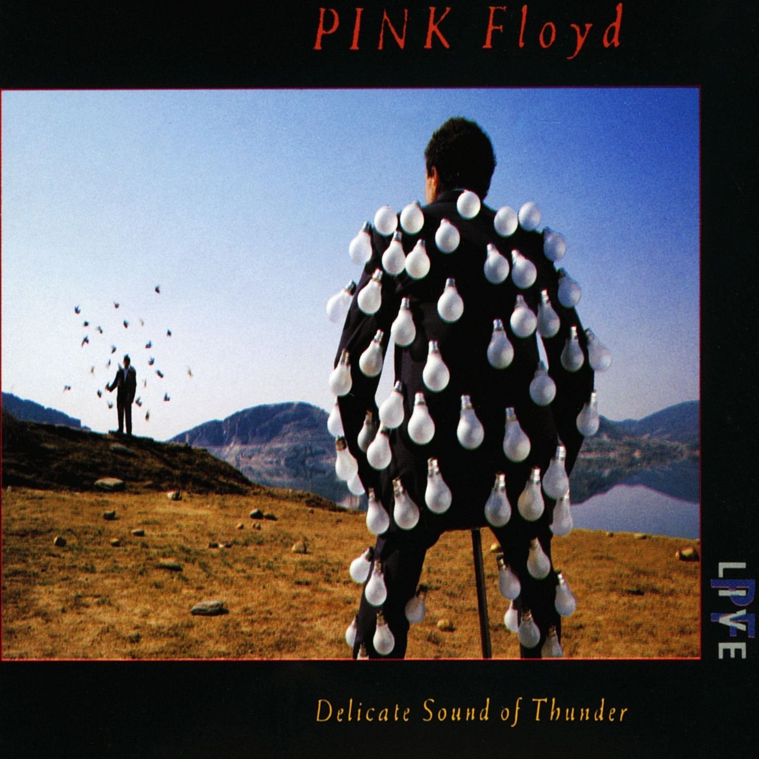 Pink Floyd - Delicate Sound of Thunder (Vinyl 2LP)