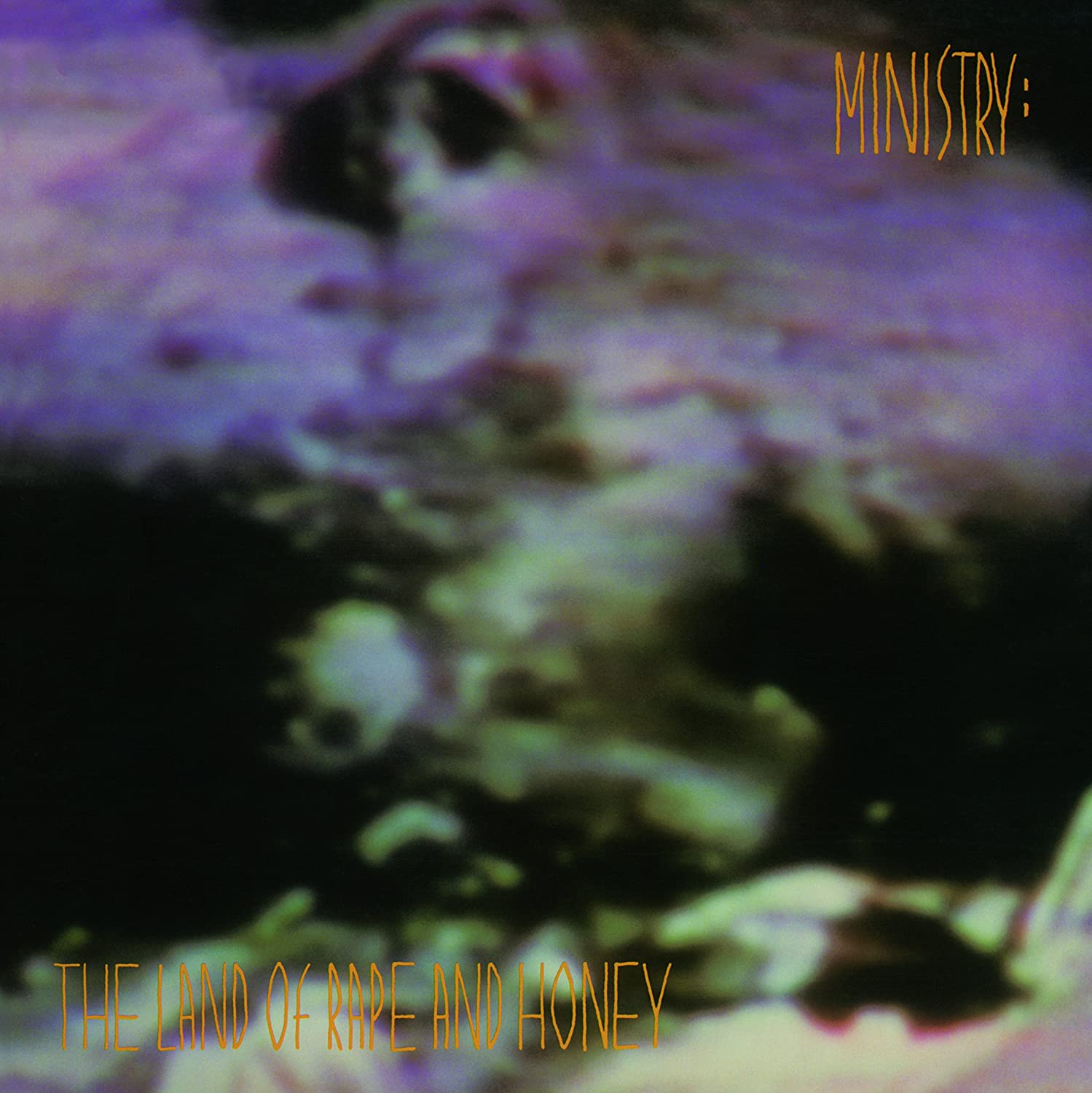 Ministry - The Land of Rape and Honey (Vinyl LP)