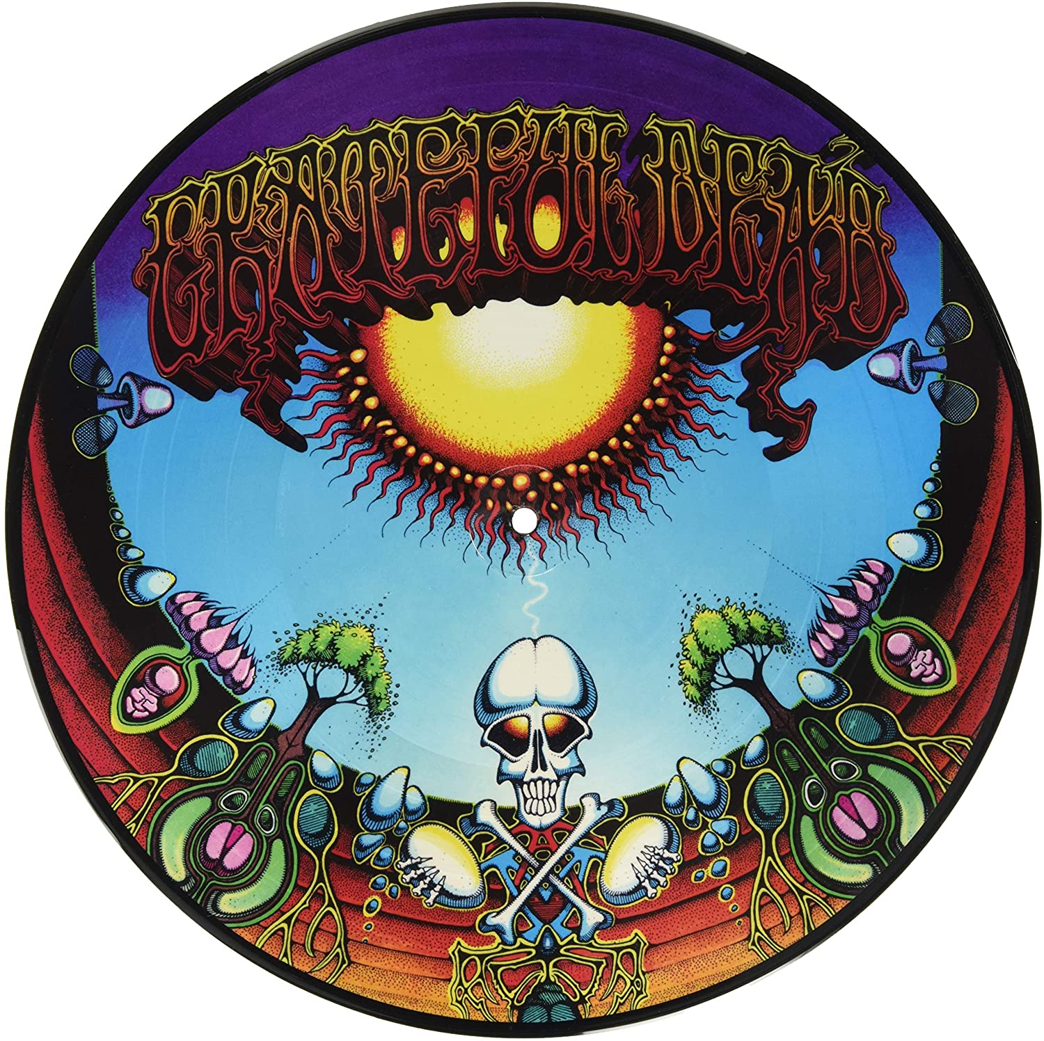 Grateful Dead - Aoxomoxoa (Vinyl LP Picture Disc) - Alleycats Music