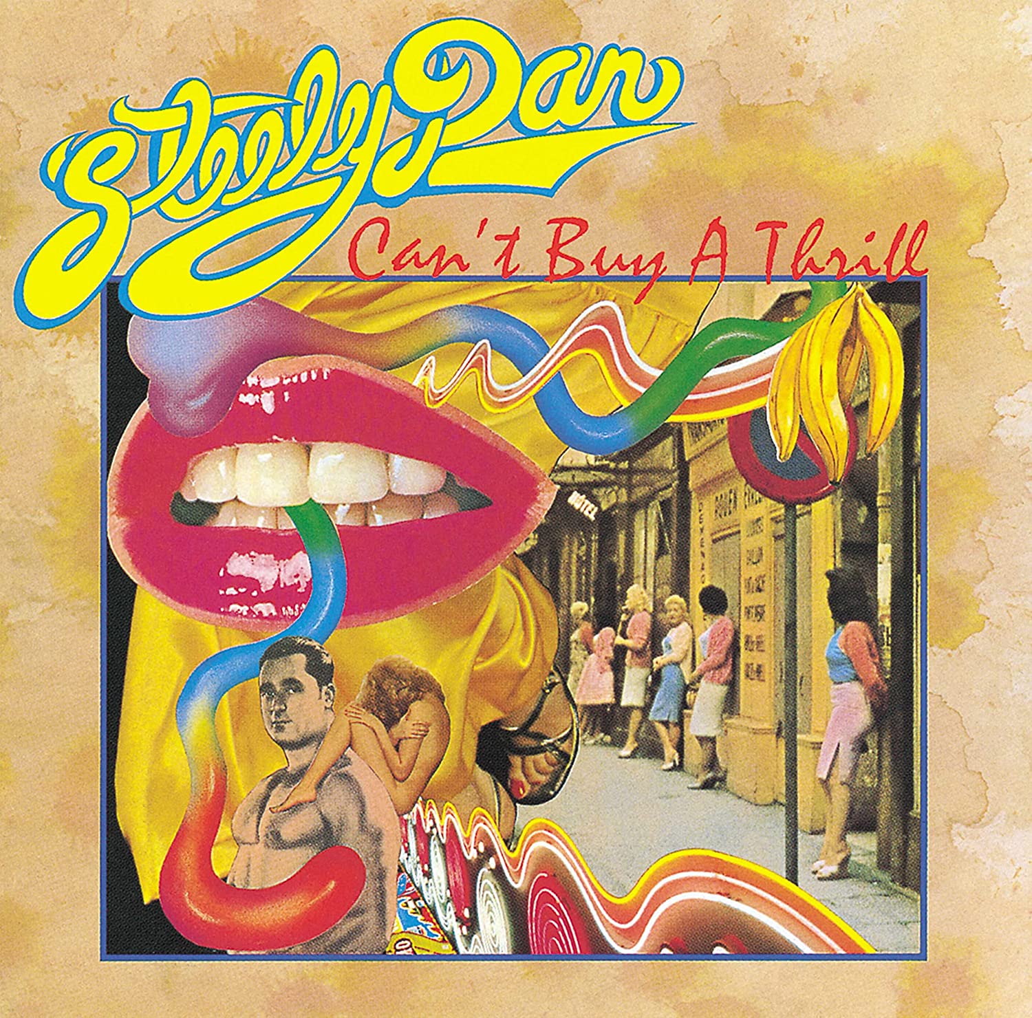 Steely Dan - Can't Buy a Thrill (Vinyl LP)